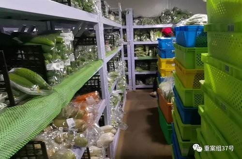 生鲜电商危机 从叮咚买鱼的“死鱼”风波到行业信任崩塌